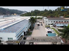 Профиль компании ICESNOW